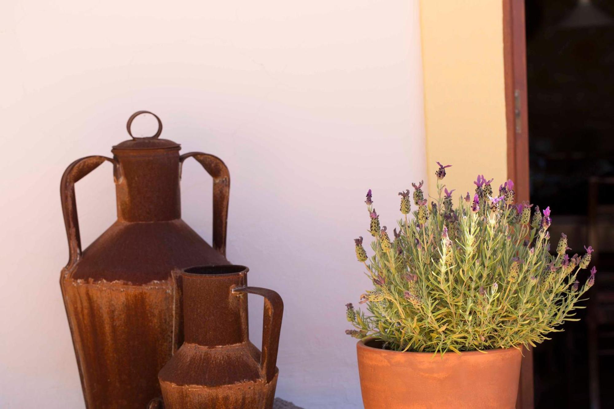 B&B Candelaria Corregos de Monte Seco 外观 照片